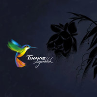About - Tinavie