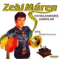 Darıldın Mı Cicim Bana - Zeki Müren