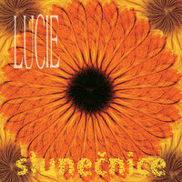 Noc - Lucie