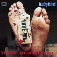 I Didn't Want to Wake You Up - Babybird, Stephen Jones, Luke Scott
