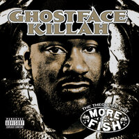 Gotta Hold On - Ghostface Killah, Shawn Wigs, Eamon