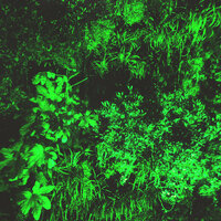 Deep Green - Marika Hackman