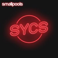 Insincere - Smallpools