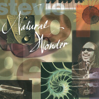 Stevie Ray Blues - Stevie Wonder