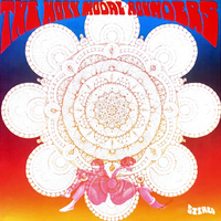 Sky Divers - The Holy Modal Rounders