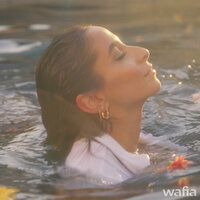 Butterflies - Wafia
