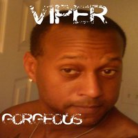 And I'm Truly Winnin' - Viper