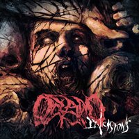 Internal War - Oceano