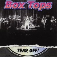 Little latin lupe lu - The Box Tops