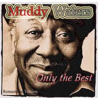 I'm Your Hoochie Coochie Man - Muddy Waters