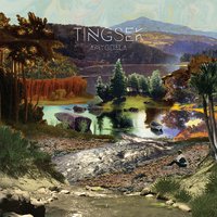 Fool - Tingsek