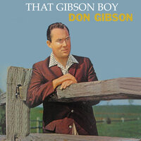 Didn t Work Out, Did It - Don Gibson