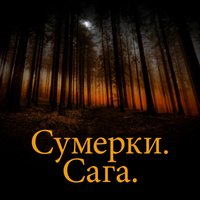 Wedding Plans (From "Сумерки. Сага. Затмение") - The City of Prague Philharmonic Orchestra, Howard Shore