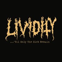 Anal Autopsy - Lividity