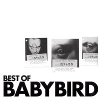 Fireflies - Babybird, Stephen Jones, Luke Scott