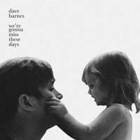 We're Gonna Miss These Days - Dave Barnes