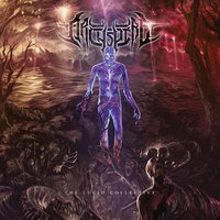 Join Us Beyond - Archspire