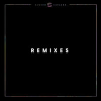 What It Feels Like - Sandro Cavazza, Kant