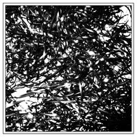 five - clipping.