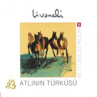 Bulut Mu Olsam - Zülfü Livaneli