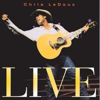Riding For A Fall - Chris Ledoux