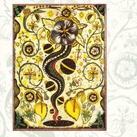 Poor Boy - Steve Earle