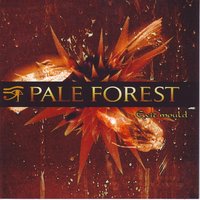 Nine-eight - Pale Forest