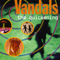 Aging Orange - The Vandals