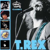 I Really Love You Babe - T. Rex