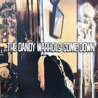 Orange - The Dandy Warhols