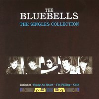 Young at Heart - The Bluebells