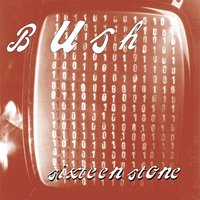 Glycerine - Bush