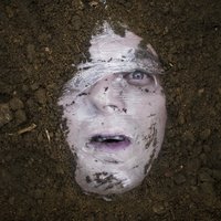 Profile - Sullivan