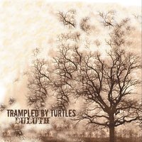 Shenandoah - Trampled By Turtles