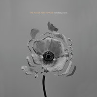 The Mess - The Naked And Famous, The 1975