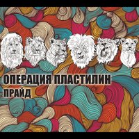 Чужая боль - Операция Пластилин