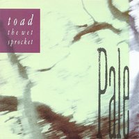 Jam - Toad The Wet Sprocket