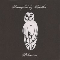 It's a War - Trampled By Turtles