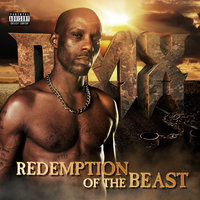 Get Up And Try Again - DMX