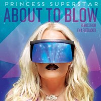 I'm a Firecracker - Martin Eyerer, Princess Superstar