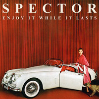 Grey Shirt & Tie - Spector