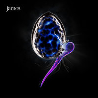 Hero - James