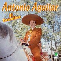 Ya Ni Las Copas - ANTONIO AGUILAR