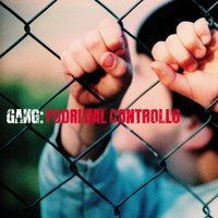 Il testimone - Gang