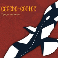 Чайка - Северо-Восток