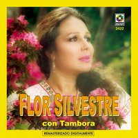Mi Destino Fue Quererte - Flor Silvestre