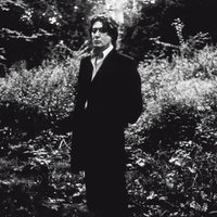 L'Imprudence - Alain Bashung