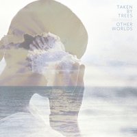 Large - Taken By Trees
