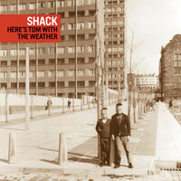 Chinatown - Shack
