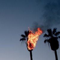Burbank - The Absolute